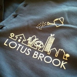 Lotus Brook